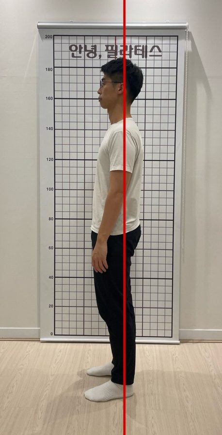 정적 평가 반대쪽 옆모습 사진